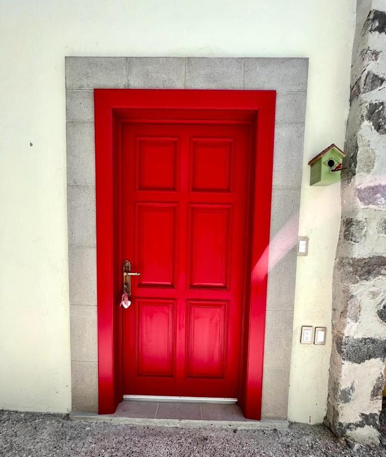 Small Pet Friendly, Pool And Gym Apartment San Miguel de Allende Exterior foto